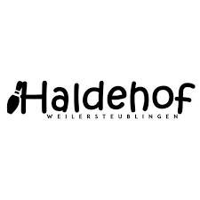 Logo des Haldehofs Weilersteußlingen mit stilisiertem Kegel vor dem Schriftzug in schwarz auf weißem Hintergrund.
