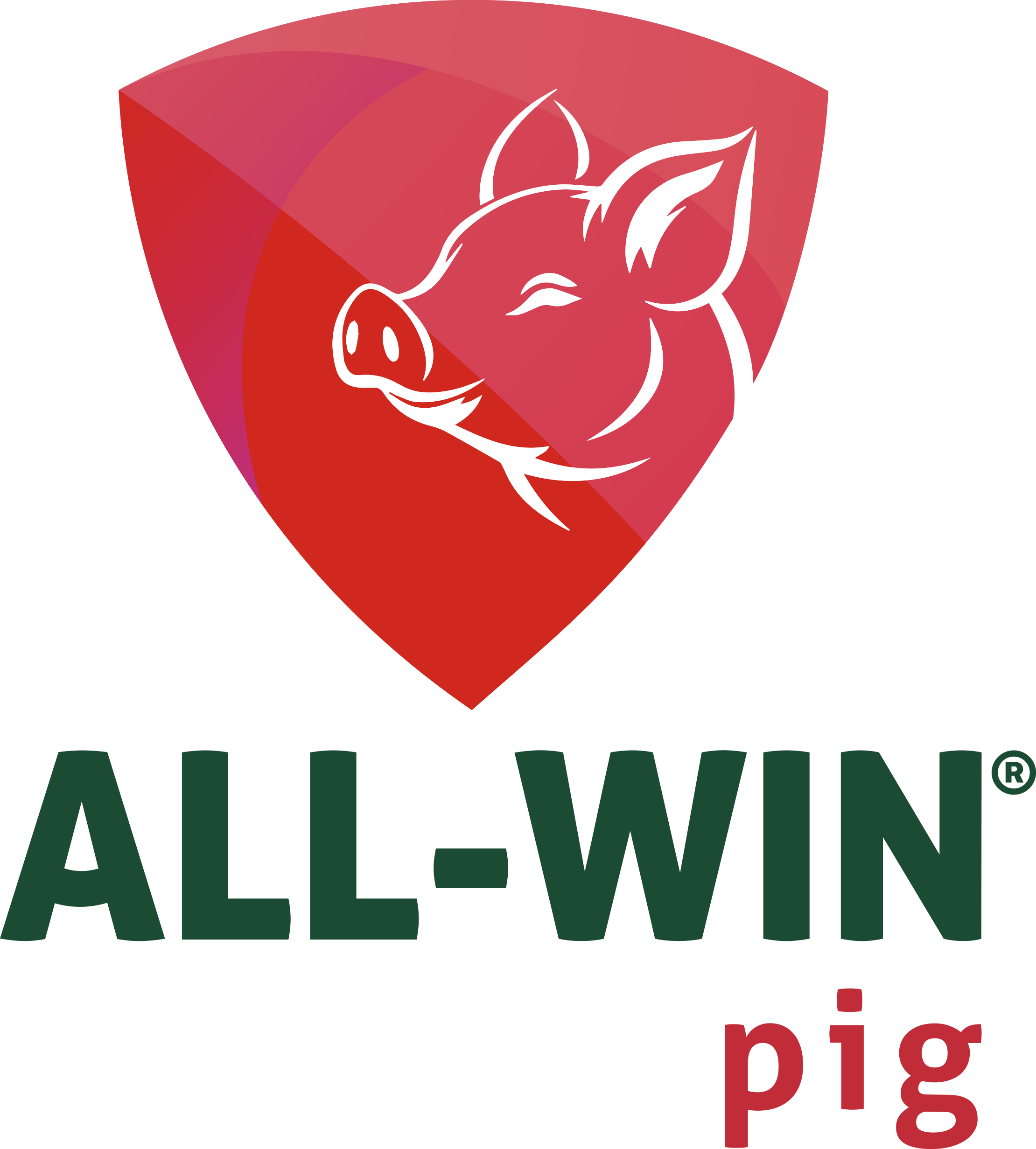 ALL-WIN Pig
