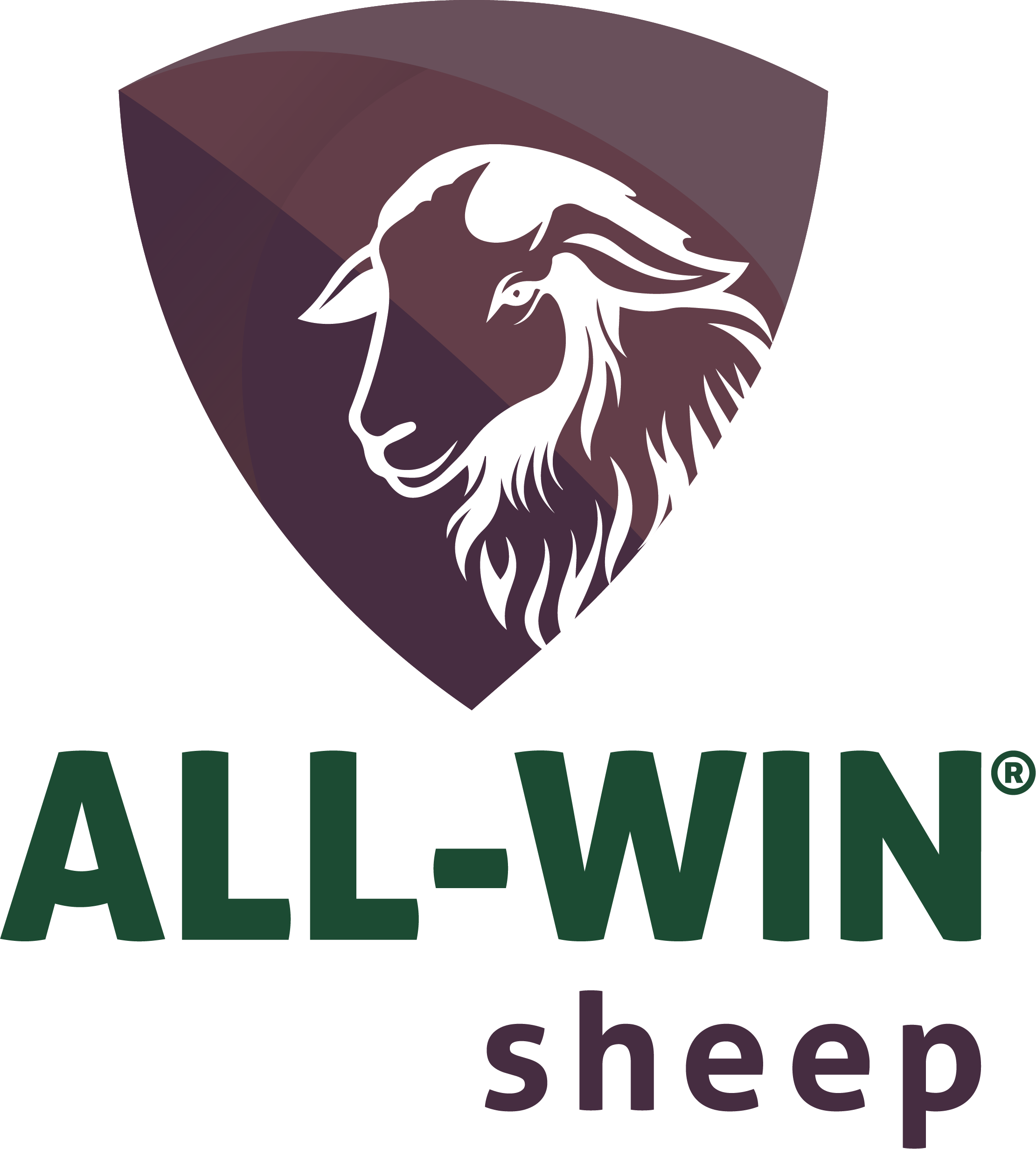 ALL-WIN Sheep